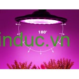 Đèn Led chống nước trồng cây trong nhà Terino D152 (Led UFO) (200W, đèn phát triển bổ xung cho cây) - Hàng chính hãng
