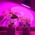 Đèn Led chống nước trồng cây trong nhà Terino D38FS (300W, Full Spectrum, đèn toàn dải quang phổ) - Hàng chính hãng3
