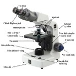 Hướng dẫn sử dụng kính hiển vi đúng cách 
