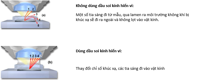 Tại sao phải dùng dầu soi kính hiển vi?