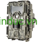 Máy bẫy ảnh  Bushnell Trophy Cam HD 24 MP có gắn hồng ngoại