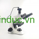 Kính hiển vi sinh học cao cấp 3 mắt LED Terino 300TC (40X-2000X, kèm Camera công nghiệp độ phân giải cao 5.1 MP) - Hàng chính hãng