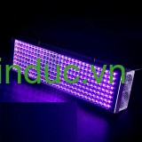 Đèn tia UV dùng cho công nghiệp Terino D200W-UV (395nm, 200W) - Hàng chính hãng