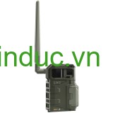 Máy bẫy ảnh Spypoint LM2 (truyền hình ảnh qua mạng 4G) (Hãng Spypoint- Canada)