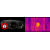 Ống nhòm đêm ảnh nhiệt ATN BINOX 4T 640 1-10X HD tích hợp đo khoảng cách (Hãng ATN - Mỹ)1