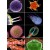 Kính hiển vi sinh học cao cấp soi vi khuẩn, tế bào 2 mắt Terino 16T (40X-2000X) - Hàng chính hãng3