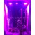 Đèn Led chống nước trồng cây trong nhà Terino D38FS (300W, Full Spectrum, đèn toàn dải quang phổ) - Hàng chính hãng5
